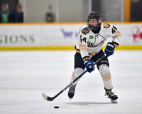 2025 MJ JV Hockey
