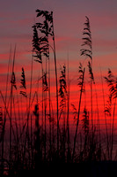 Red Sunset at the beach